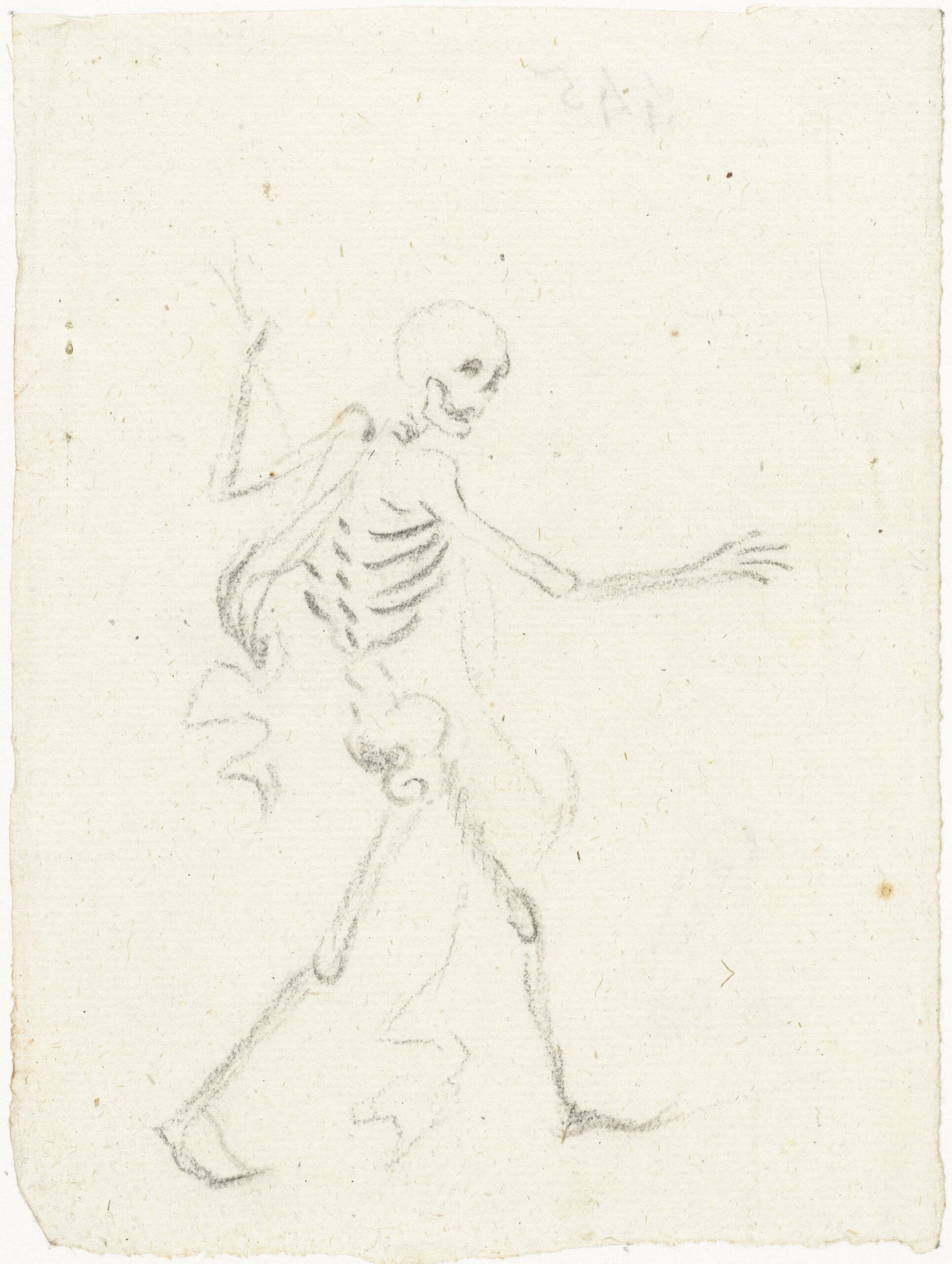3_3_waling_skeleton