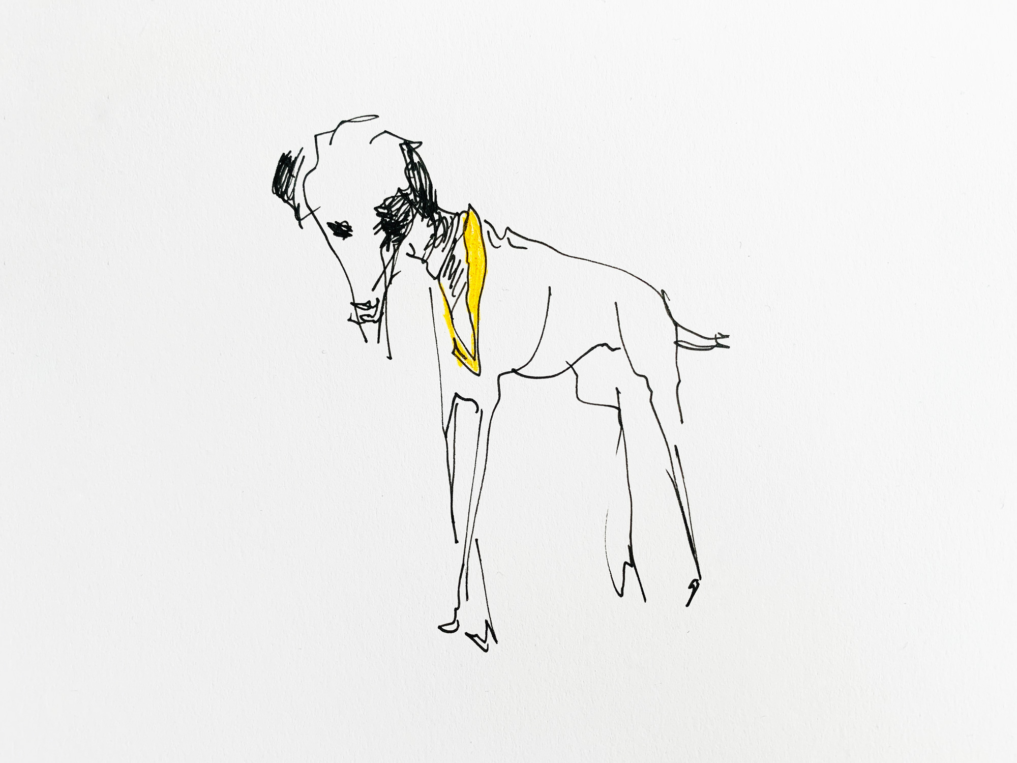 hund_sketch_and_draw