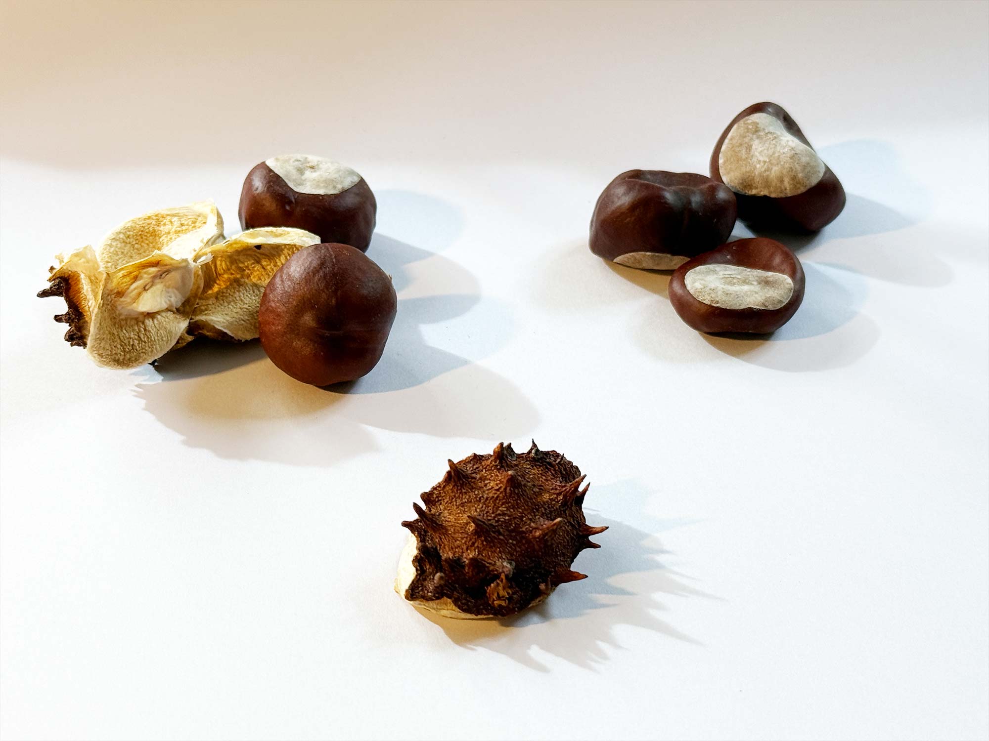 8_1_chestnuts_overview