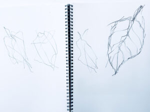 Find the form with crossing all over the form.