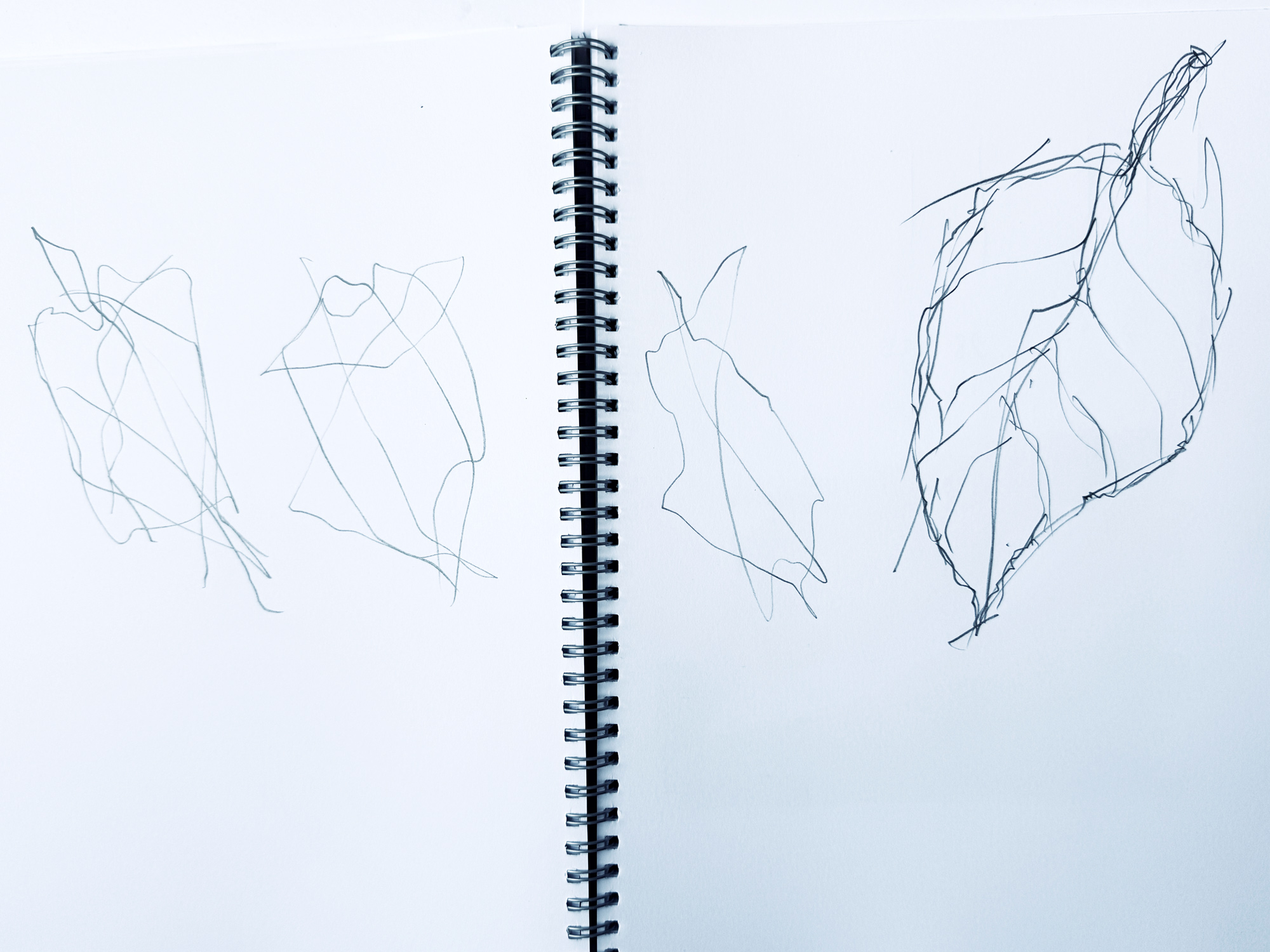 Find the form with crossing all over the form.